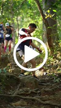 BIB:  <button type="button" onclick="openModal(27639201)" class="btn btn-primary btn-sm float-right" data-toggle="modal" data-target=".modal-high-quality">
                <i class="fa fa-download"></i> Download
                </button>